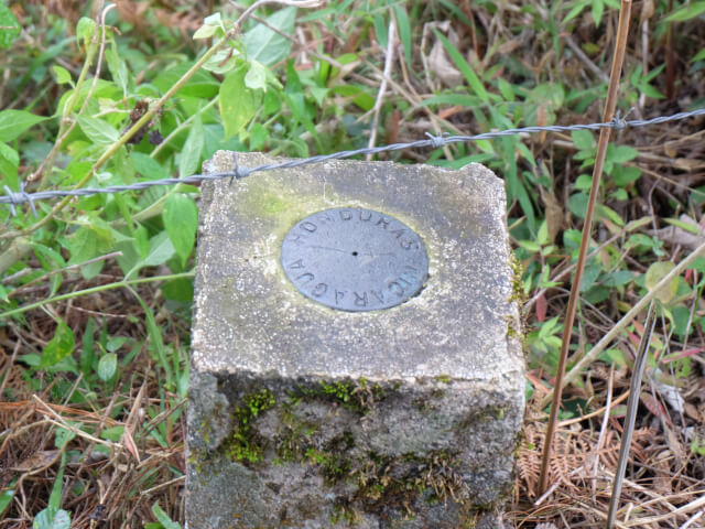 ニカラグア エル・ポルベニール ジコテ ジャバニカ アナエロビックPN