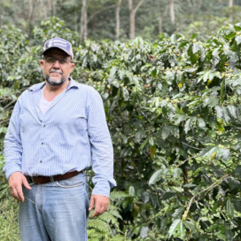 ニカラグア エル・ポルベニール ジコテ ジャバニカ アナエロビックPN