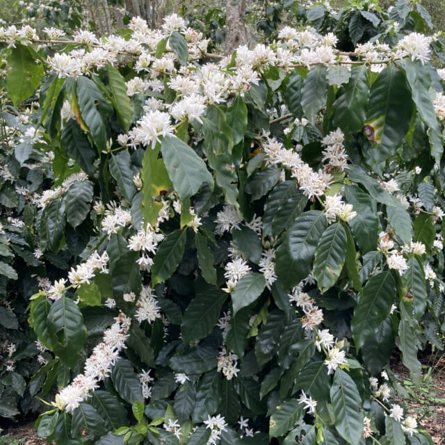 関わる全ての人を幸せに