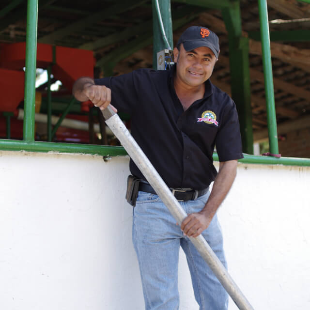 ウォッシュドプロセス