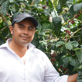 ニカラグア エル・ナランホ ディピルト マラカトゥーラ ナチュラル