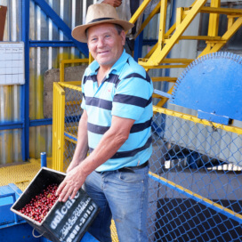 コスタリカ　ドン・マヨ ラ・ロマ レッドハニー