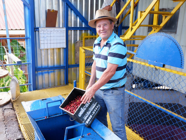 コスタリカ　ドン・マヨ ラ・ロマ レッドハニー
