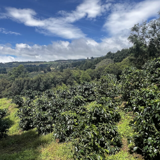 シュマバ・マイクロミル