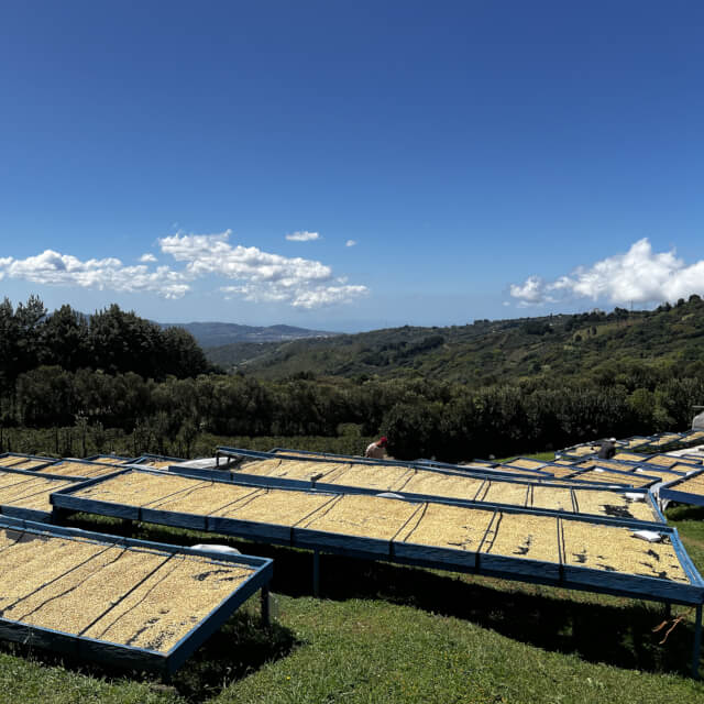 シュマバ・マイクロミル