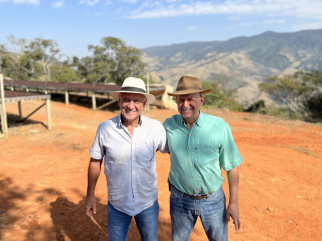 ブラジル　ランチョ・サン・ベネディート　イエローブルボンPN