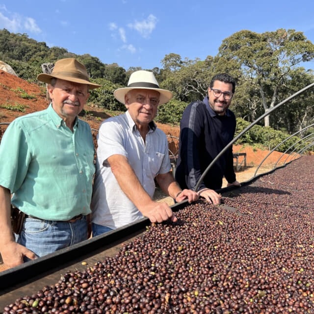 マンチケイラ・デ・ミナス