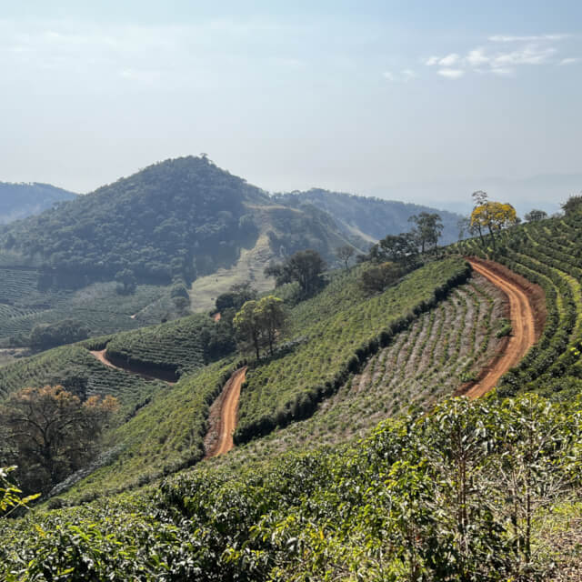 スペシャルティコーヒーへの取り組み