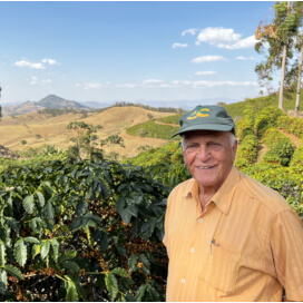 ブラジル　セーハ・ダス・トレス・バハス　アララ　ナチュラル