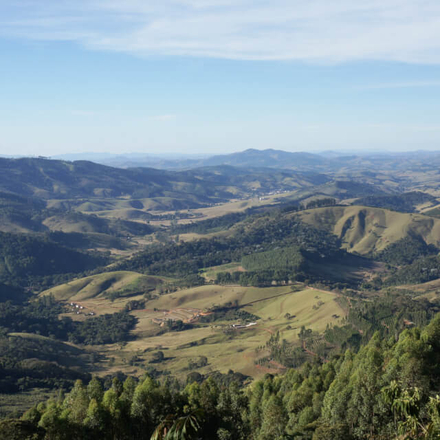 マンチケイラ・デ・ミナス