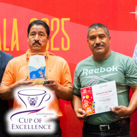 グアテマラCOE2025ONE OF A KIND#3 グラニート・デ・オロ