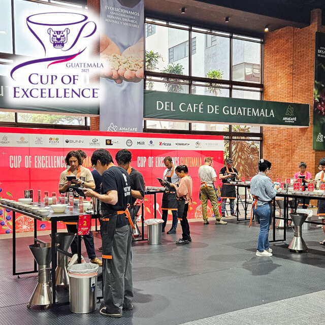 グアテマラCOE2025