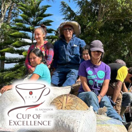 エルサルバドル COE2025 W&H#8 エル・デュラツノ