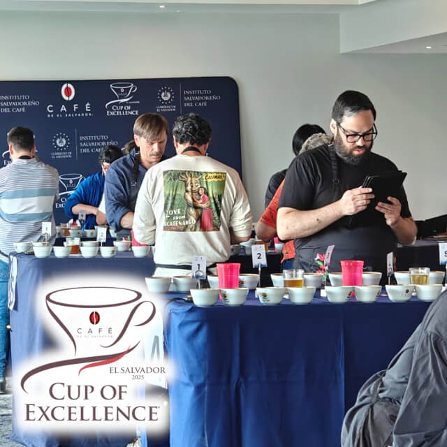 エルサルバドルCOE2025