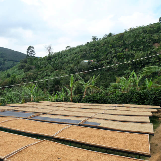 ドン・オスカル　ミル