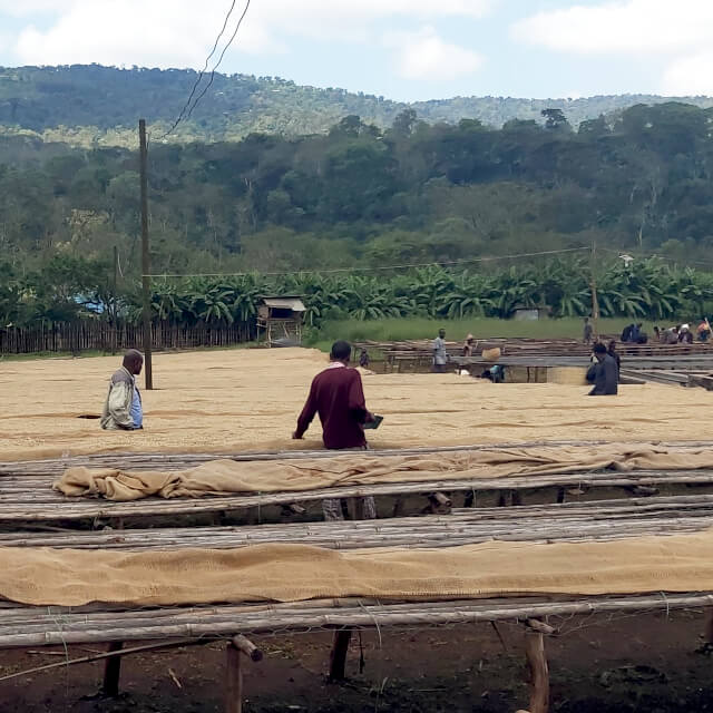 生産処理プロセス