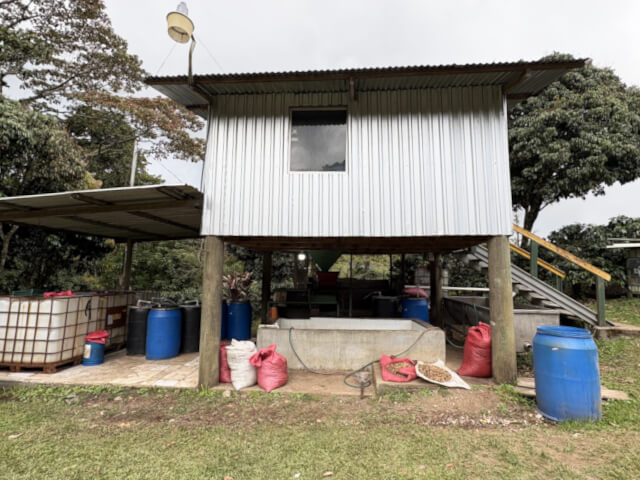 ホンジュラス エル・カミニト バネッサマドリッド ゲイシャ ナチュラル