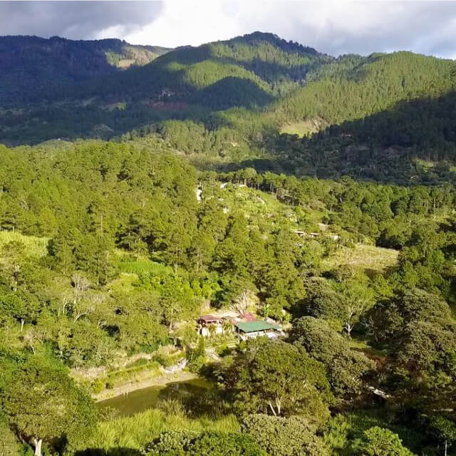 エル・ナランホ農園