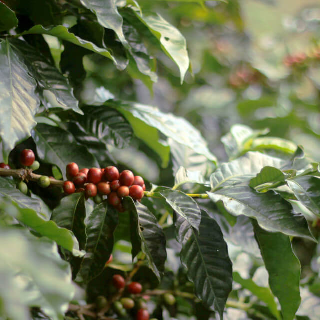 関わる全ての人を幸せに