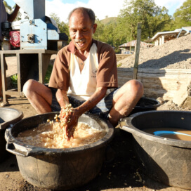 インドネシア　フローレス　ラガ・リズ　FW