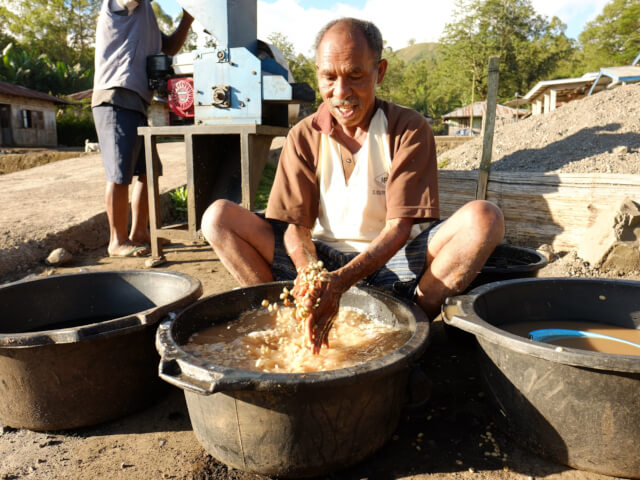 インドネシア　フローレス　ラガ・リズ　FW