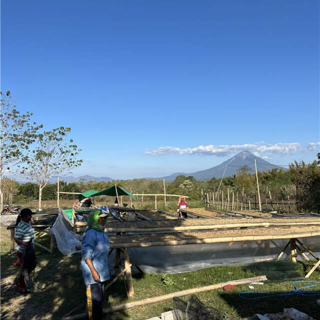 地域に根付いたコーヒー文化