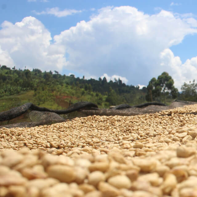 経済・社会的な取り組み