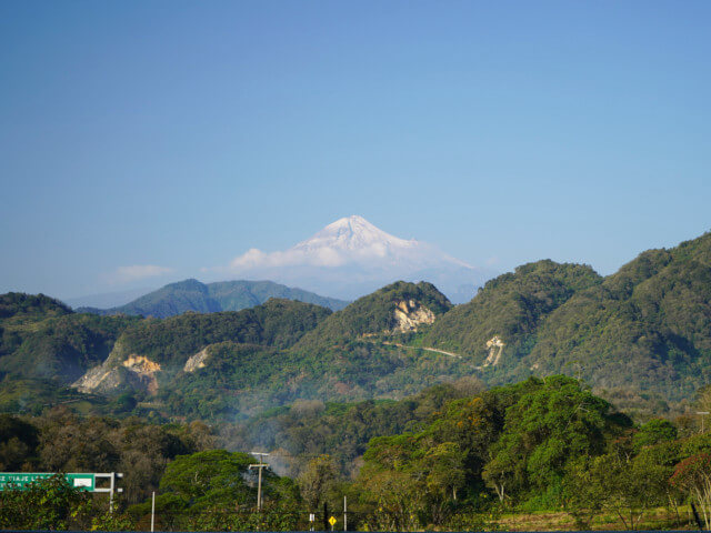 メキシコ イクスウアトラン Zempoalehuatl Reserve ブルボン パープルハニー