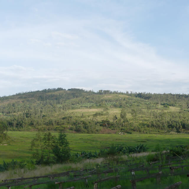 ギシャ・ウォッシングステーション