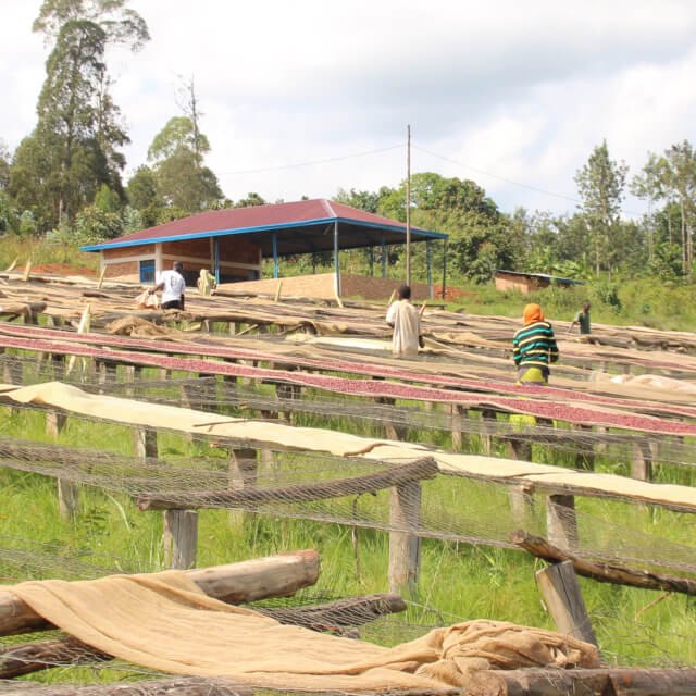 ブルンジの生産事情