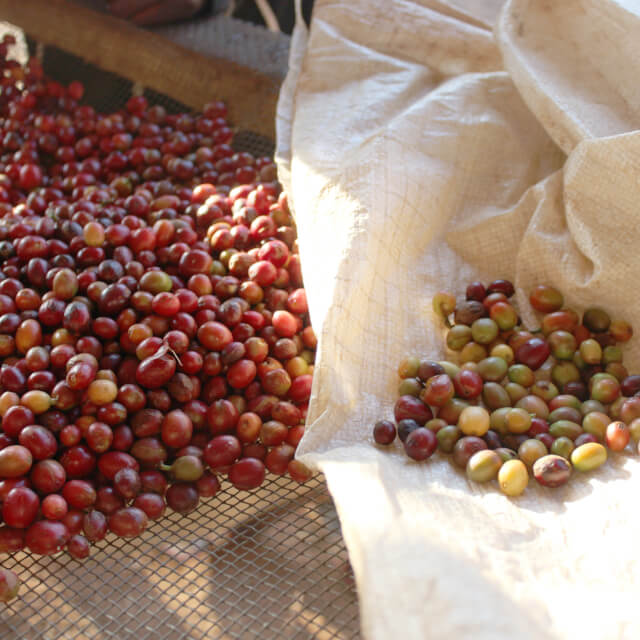 品質とインフラ