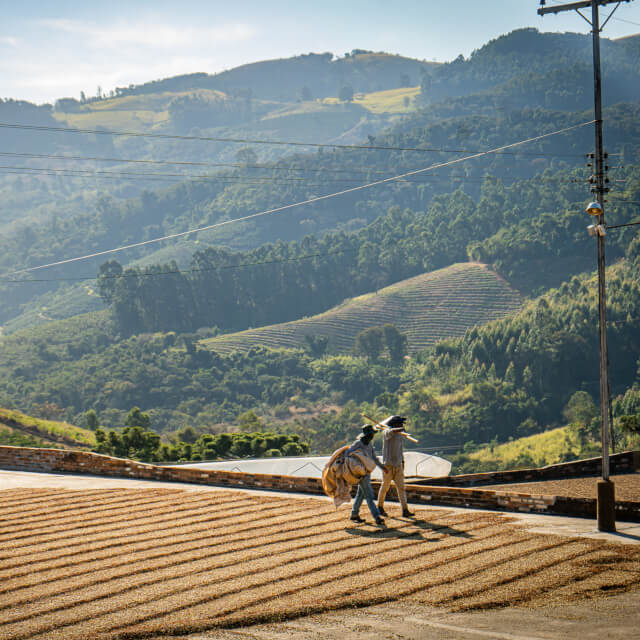 バレ・ダ・グラマ